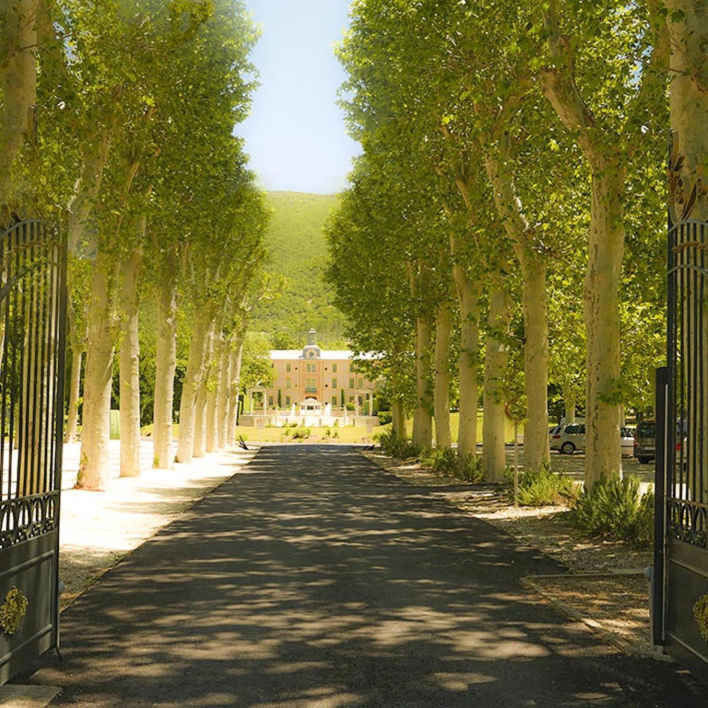 Chateau Des Gipieres Bij De Mont Ventoux Montbrun-les-Bains Exterior foto